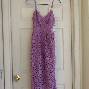 NWT NEVER WORN. ASTR the Label Lace MIDI dress in light orchid. Size small